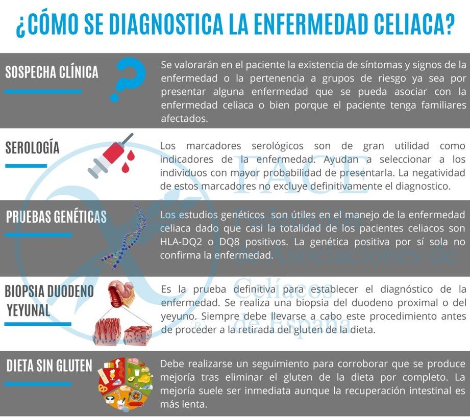 La Enfermedad Celiaca es una patología multisistémica con base autoinmune provocada por el gluten y prolaminas relacionadas.