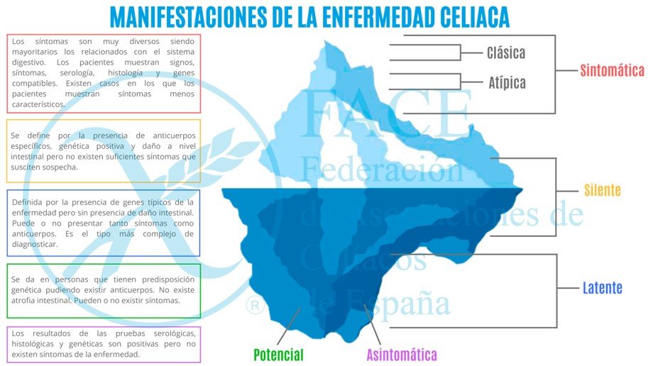 La Enfermedad Celiaca es una patología multisistémica con base autoinmune provocada por el gluten y prolaminas relacionadas.